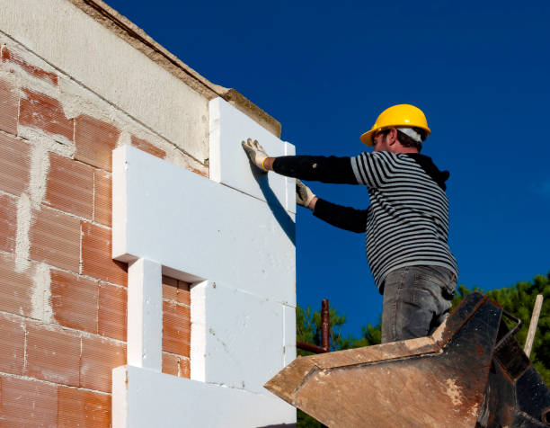 Best Insulation Replacement Services  in Rolesville, NC