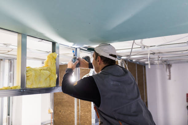 Best Insulation Removal Services  in Rolesville, NC