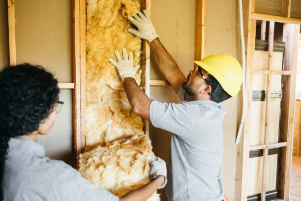 Best Commercial Insulation Contractor  in Rolesville, NC