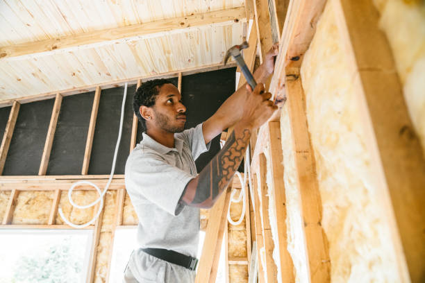 Best Wall Insulation Contractor  in Rolesville, NC