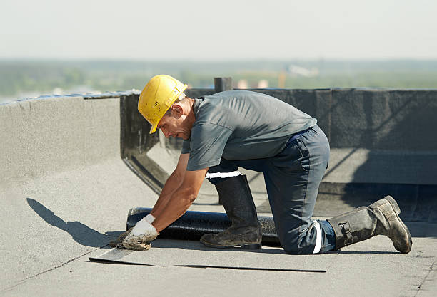 Best Best Insulation Companies  in Rolesville, NC