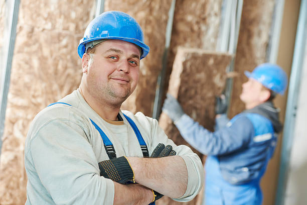Best Insulation Inspection Services  in Rolesville, NC