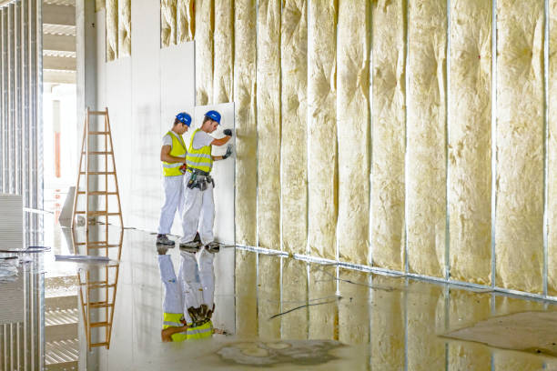Best Crawl Space Insulation  in Rolesville, NC